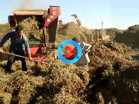 現(xiàn)場(chǎng)案例 現(xiàn)場(chǎng)案例